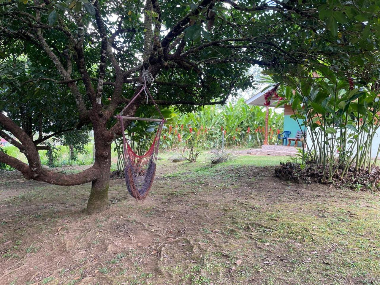 Cabana Rural Ave Del Paraiso La Fortuna Екстер'єр фото